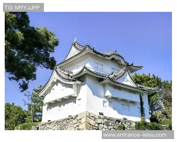 名古屋与东京的文化碰撞与城市魅力深度对比分析